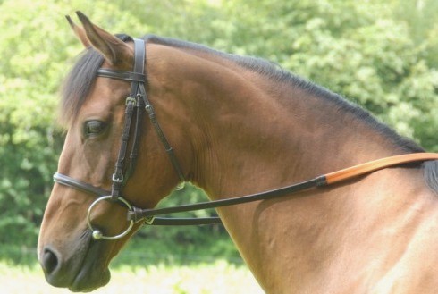 Race Bridle with Orange Rubber Grip Loo