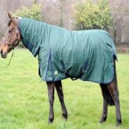 Cobra Turnout Rug